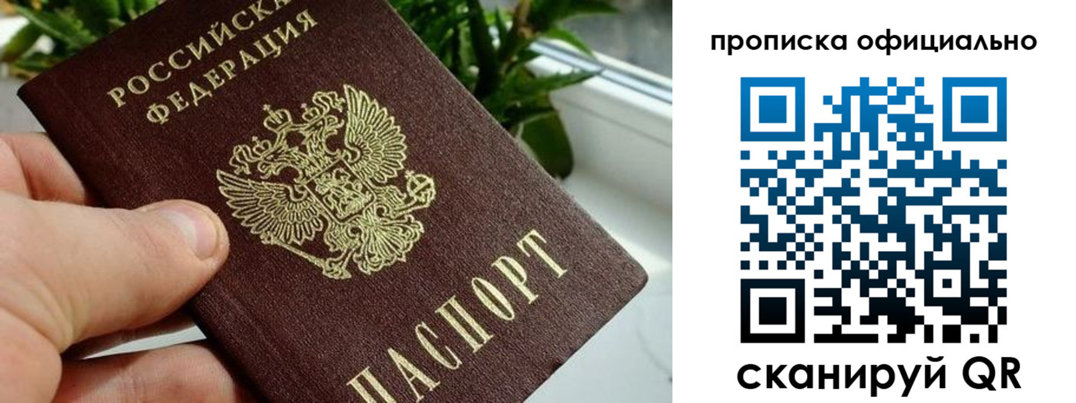 прописка поиск в Красноперекопске